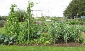 allotments